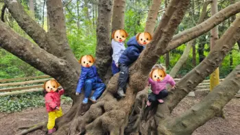 Dandelion Daycare Centre