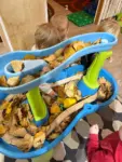 Daycare – 3