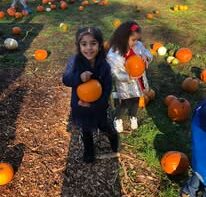 Stay 'N' Play Group Daycare