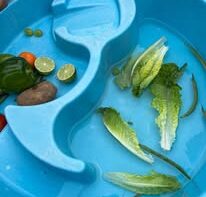 Beyond Elements Childcare Ltd.