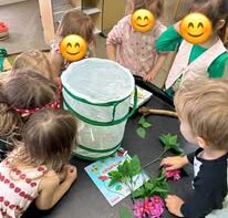 Caterpillar Montessori Daycare