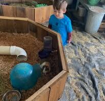 Next Level Childcare Fraser Valley Inc.