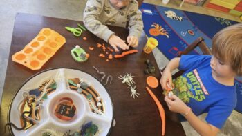 Little Lakers Learning Centre