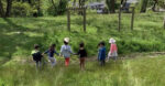 Hillview Parent Participation Preschool primary