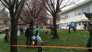 Hillview Parent Participation Preschool