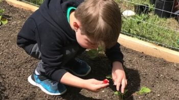 Sooke Montessori School
