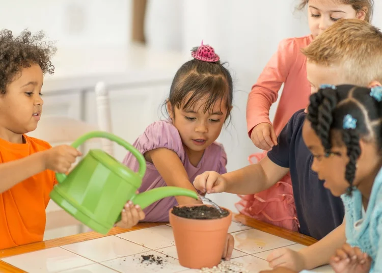 Maple Ridge Adventure Preschool primary