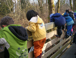 Nelson Avenue Daycare