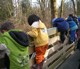 Nelson Avenue Daycare primary