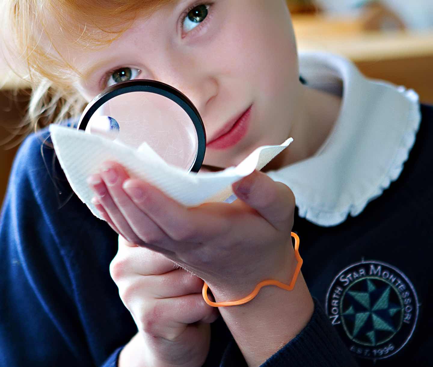 North-Star-Montessori-Elementary-Gallery