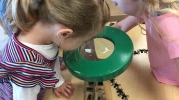 Queen's Park Preschool