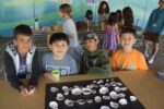 Spare Time Bobolink primary