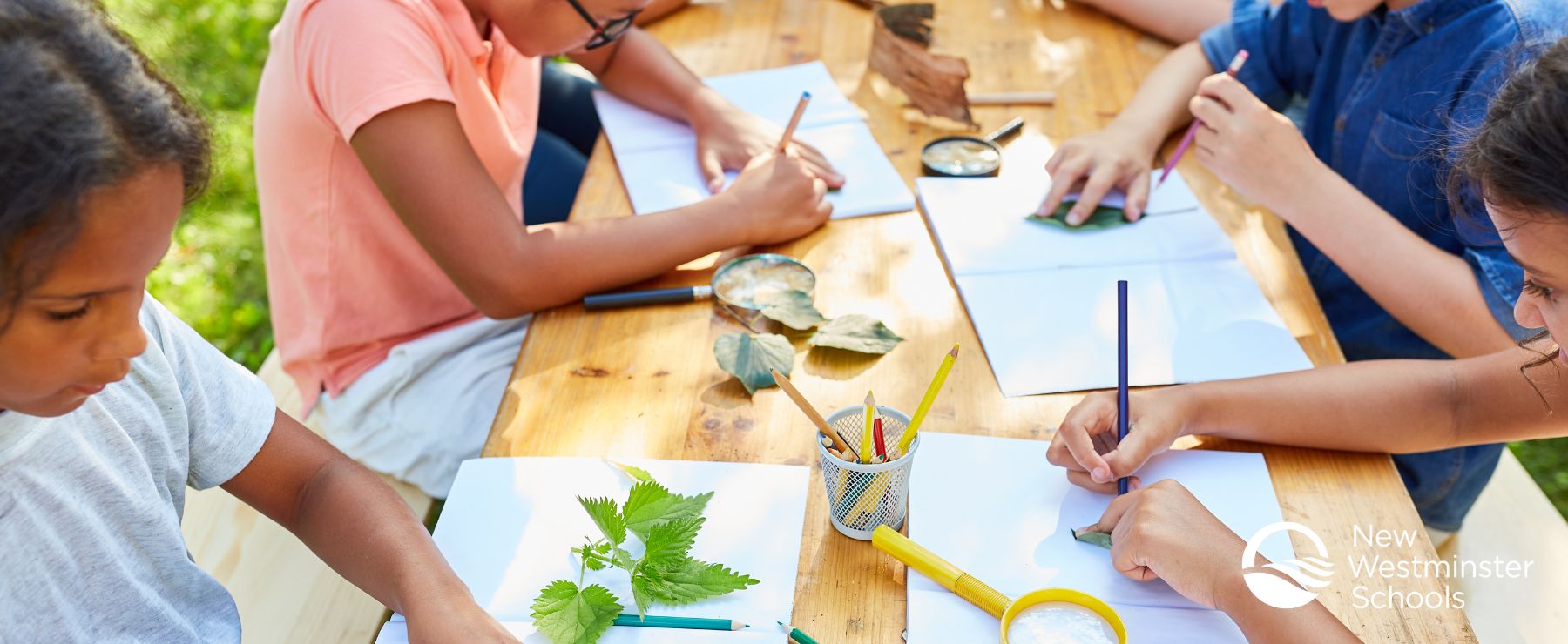 Summer-Learning-Banner
