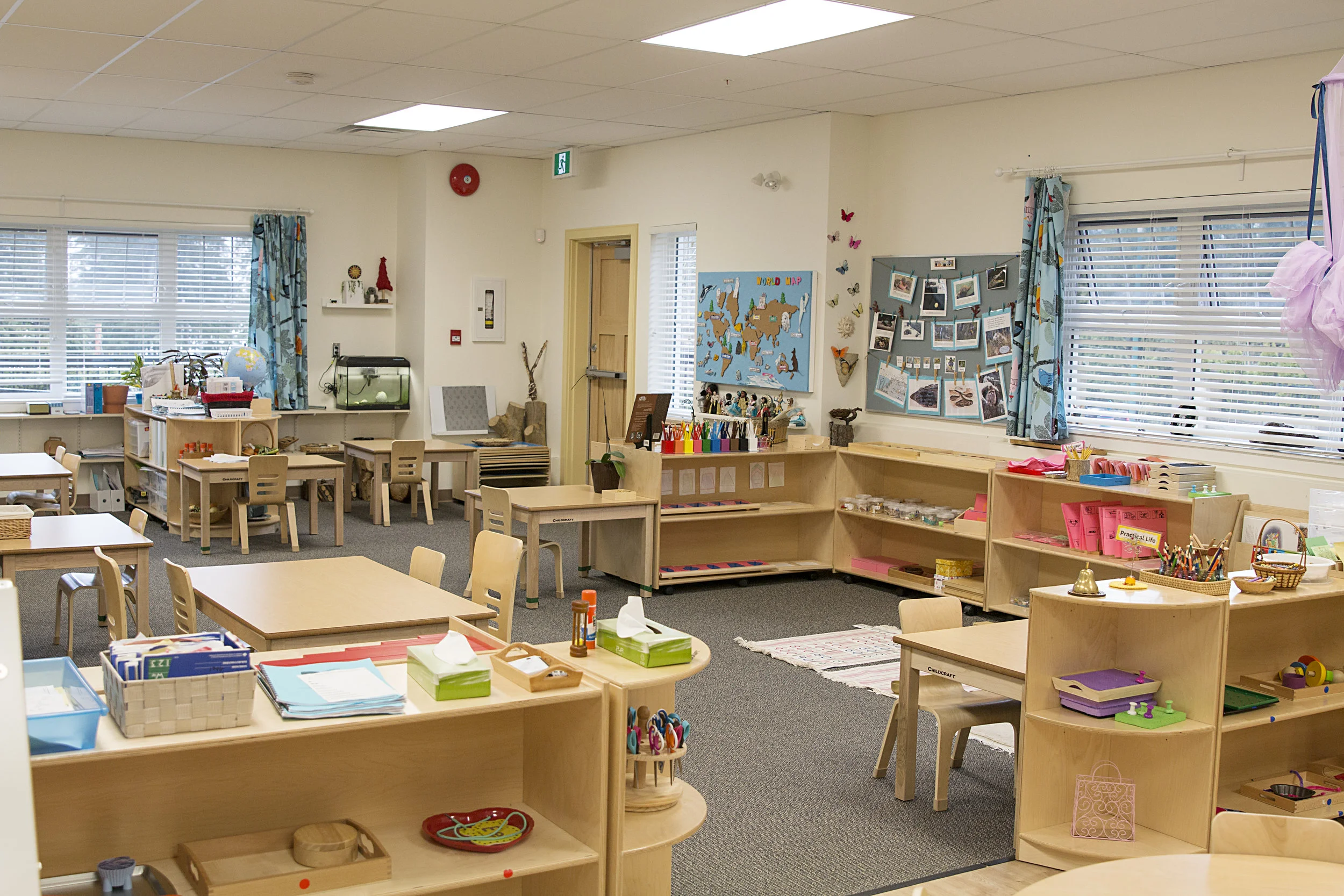 Westwood+Montessori+Full+Day+3