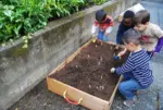 Wiseways Preschool And Daycare primary