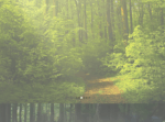 9d8ec8_ee065036f1b54c23a0a91ee8f338269c~mv2_d_2000_1325_s_2