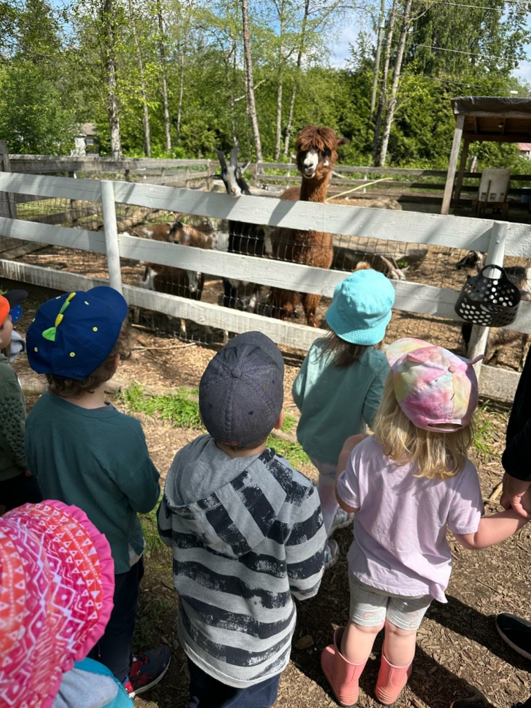 farm-field-trip-768x1024