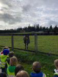 img-0058-1_orig