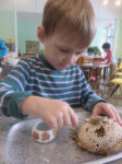 Lakeside Montessori