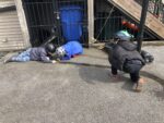 IMG-3104-scaled