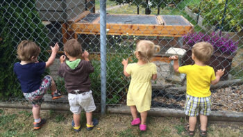 Gillybird Nature Academy